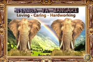 TCAP SHOWCASE LIMITED EDTIONS Njamba