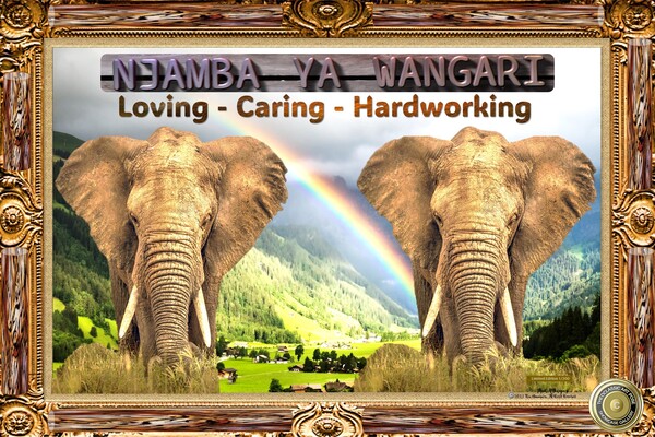 TCAP SHOWCASE LIMITED EDTIONS Njamba Print