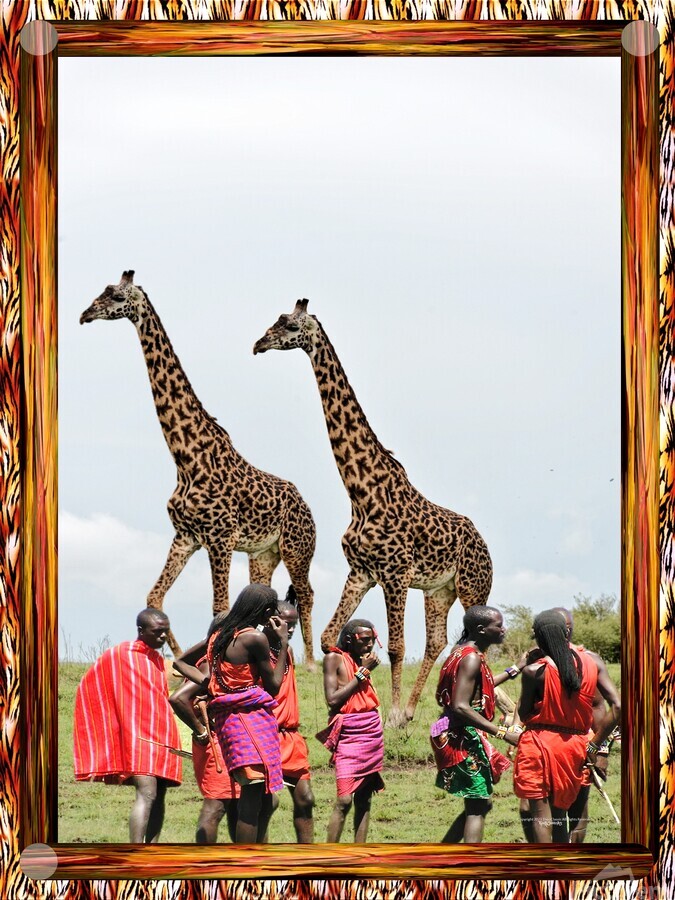 TheoClassic Art Endangered Species Giiraffe08P.JP  Print