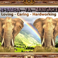 TCAP SHOWCASE LIMITED EDTIONS Njamba