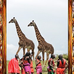 TheoClassic Art Endangered Species Giiraffe08P.JP