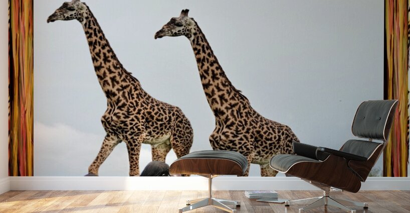 TheoClassic Art Endangered Species Giiraffe08P.JP Wall Murals
